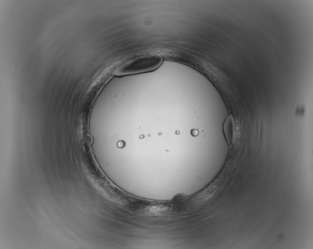X0000115000158200911091406