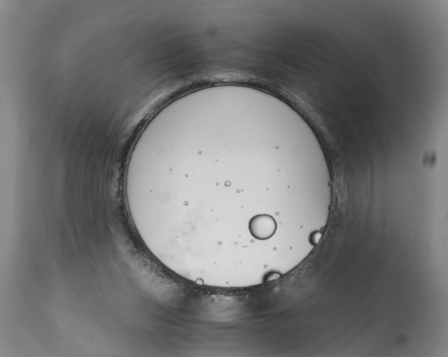 X0000115000159200911091406