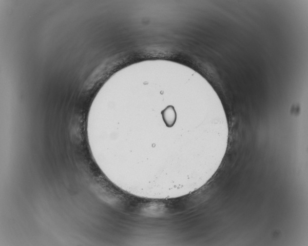 X0000115000162200911091406
