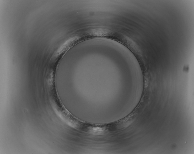 X0000115000163200911091406