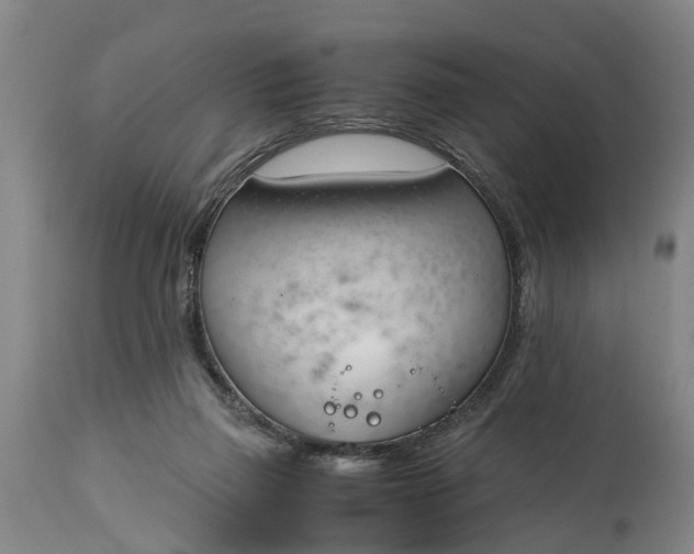 X0000115000165200911091406
