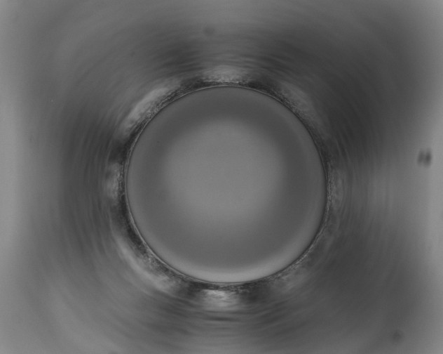 X0000115000167200911091406