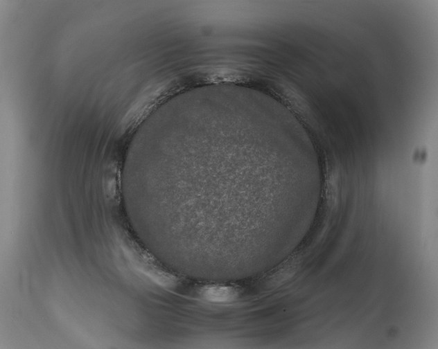 X0000115000169200911091406