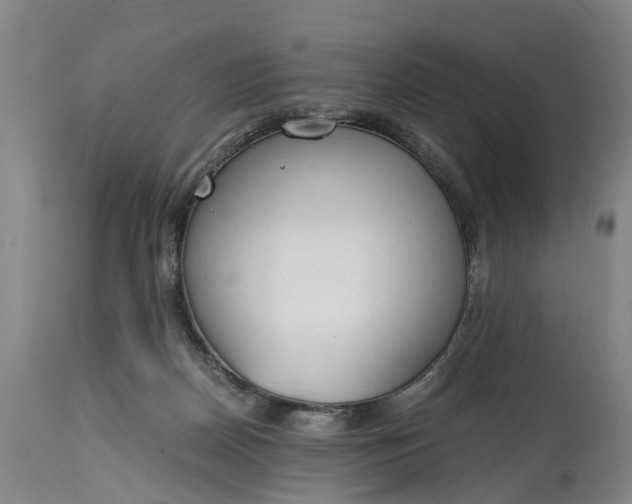 X0000115000170200911091406