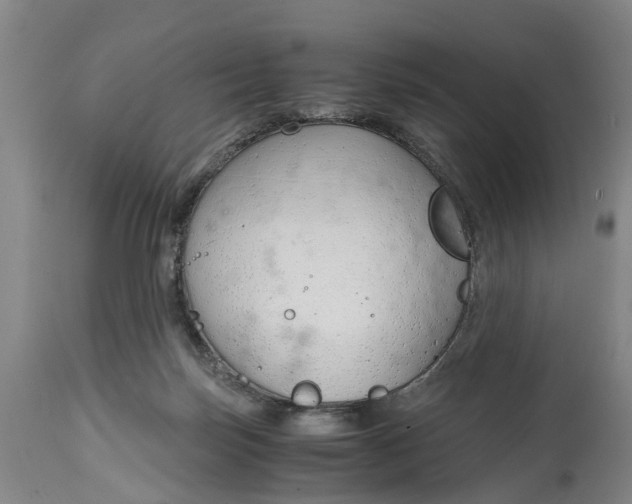 X0000115000171200911091406