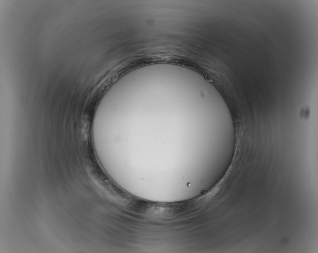 X0000115000174200911091406