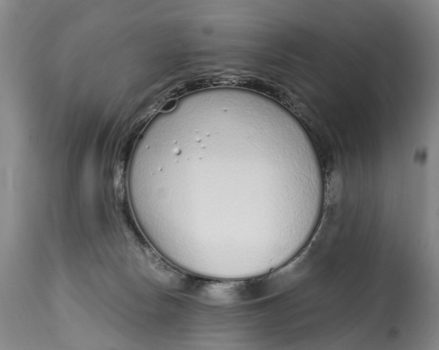 X0000115000178200911091406