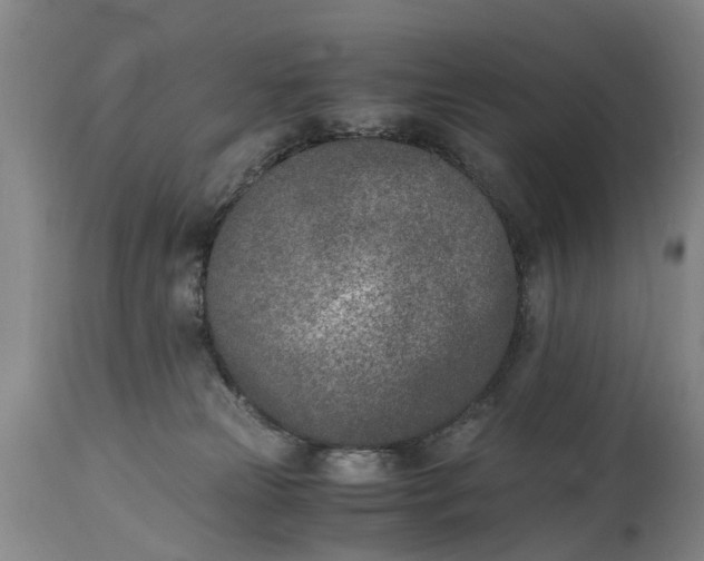 X0000115000181200911091406