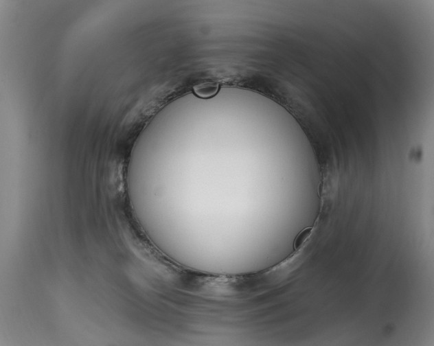 X0000115000182200911091406