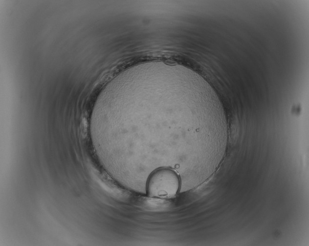X0000115000183200911091406