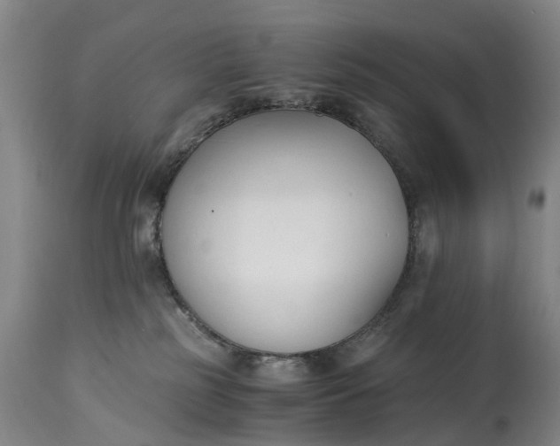 X0000115000185200911091406