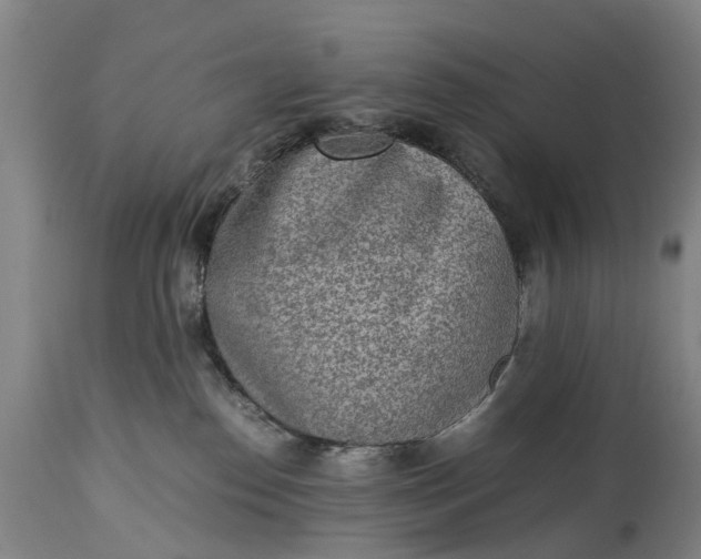 X0000115000186200911091406