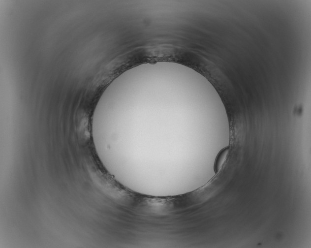 X0000115000187200911091406