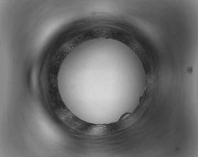 X0000115000189200911091406