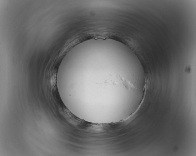 X0000115000190200911091406