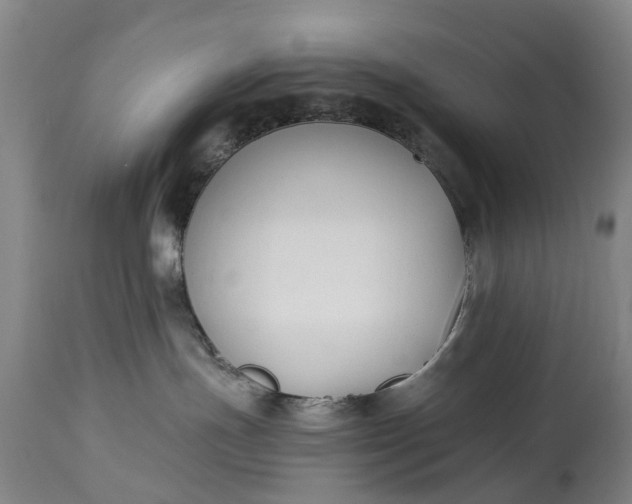 X0000115000191200911091406