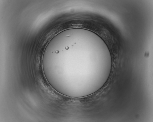 X0000115000194200911091406