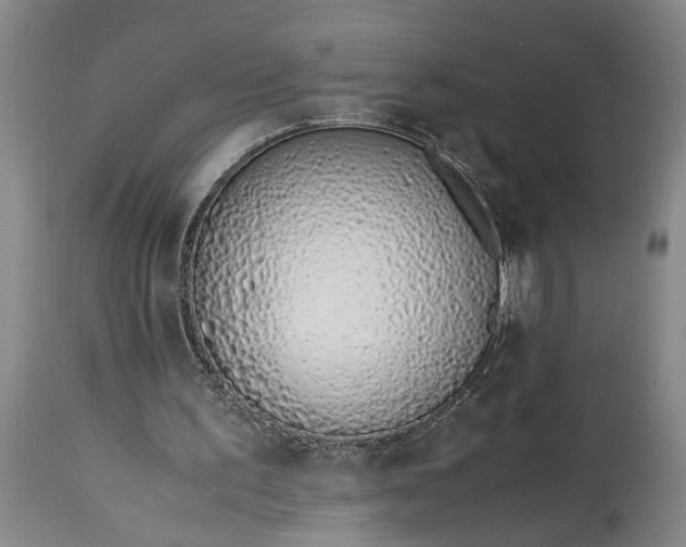 X0000115000195200911091406
