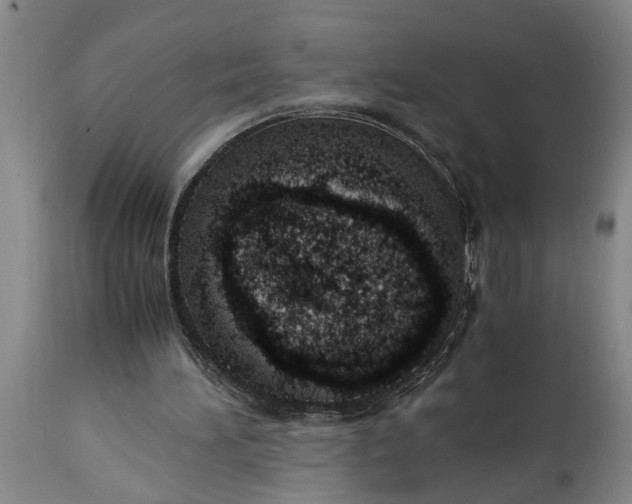 X0000115000196200911091406