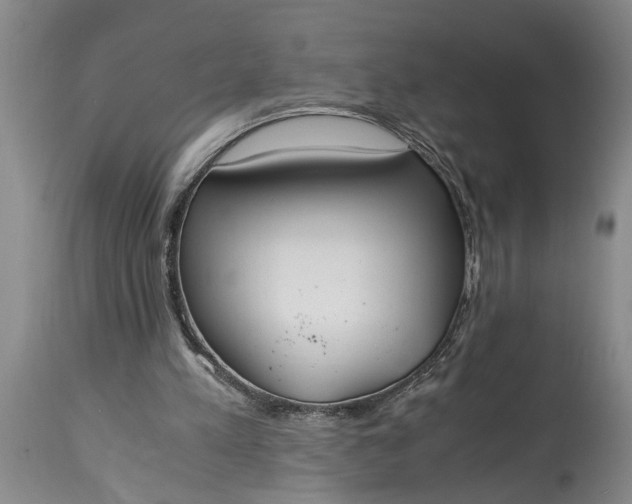 X0000115000197200911091406