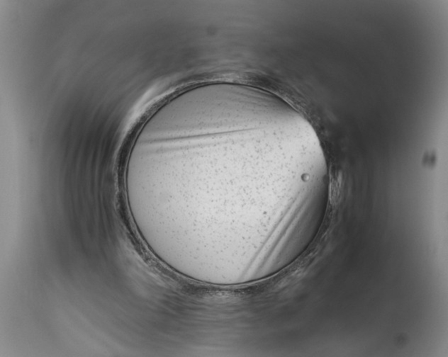 X0000115000198200911091406