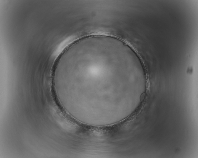 X0000115000199200911091406