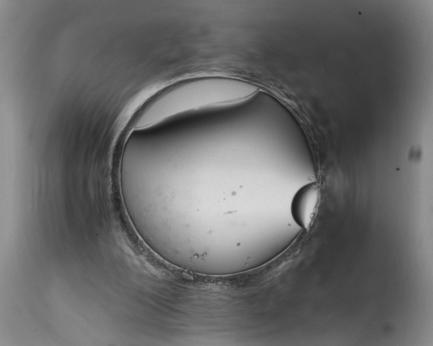 X0000115000200200911091406