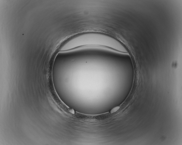 X0000115000203200911091406