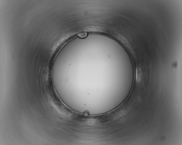 X0000115000204200911091406