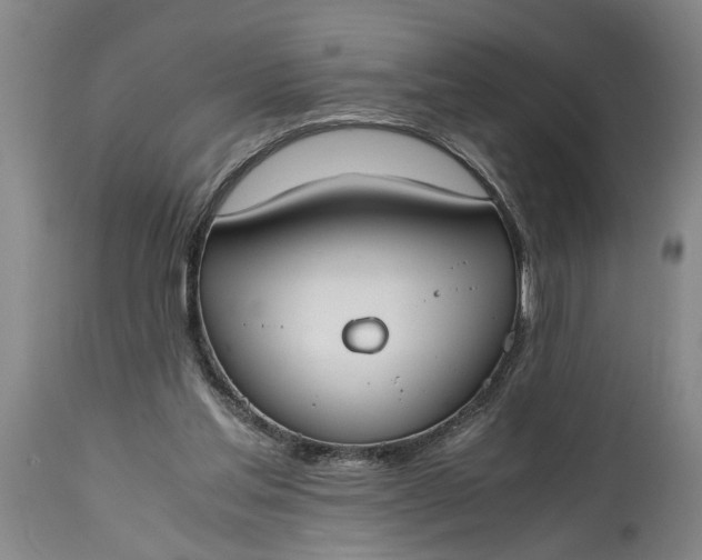 X0000115000205200911091406