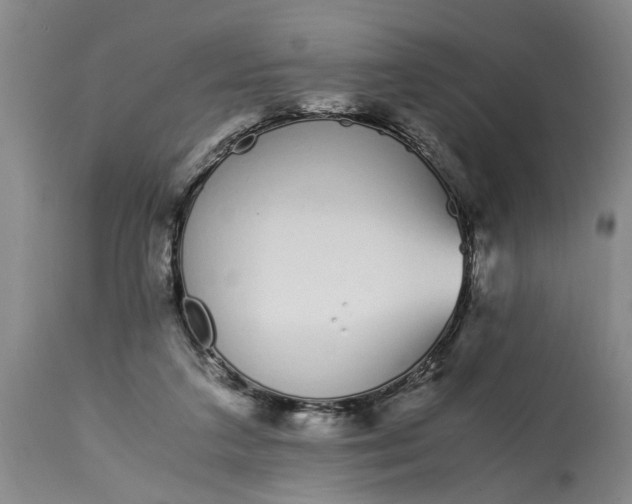 X0000115000211200911091405