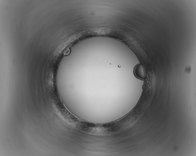 X0000115000212200911091405