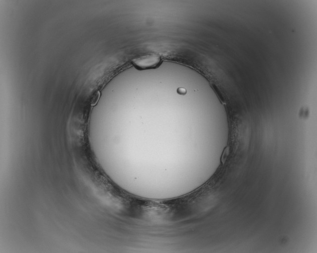 X0000115000215200911091405