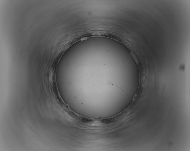 X0000115000219200911091405
