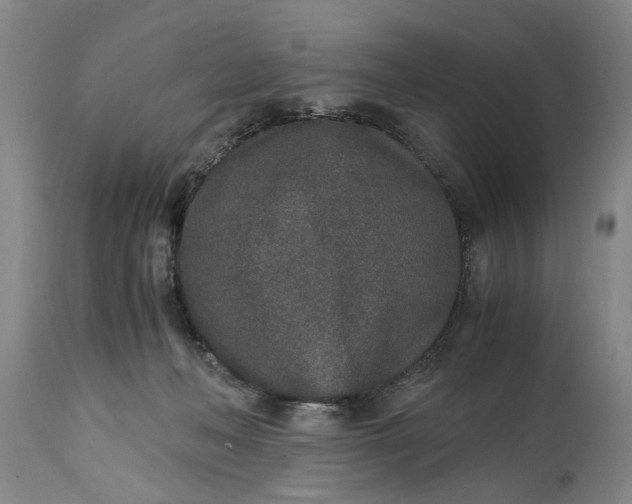 X0000115000222200911091405