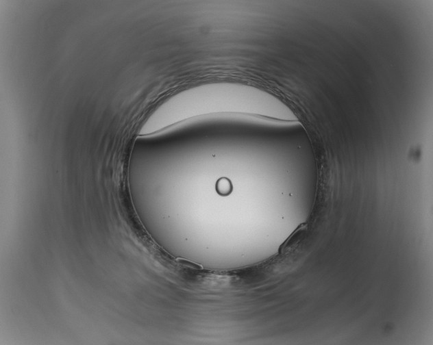 X0000115000227200911091405