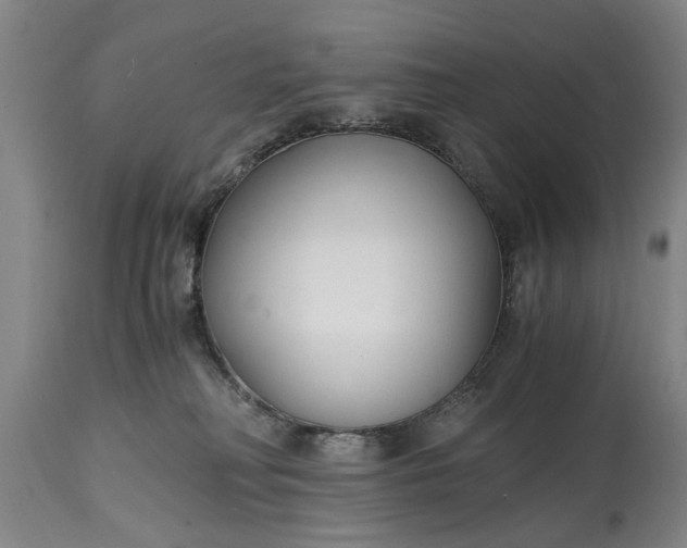 X0000115000230200911091405