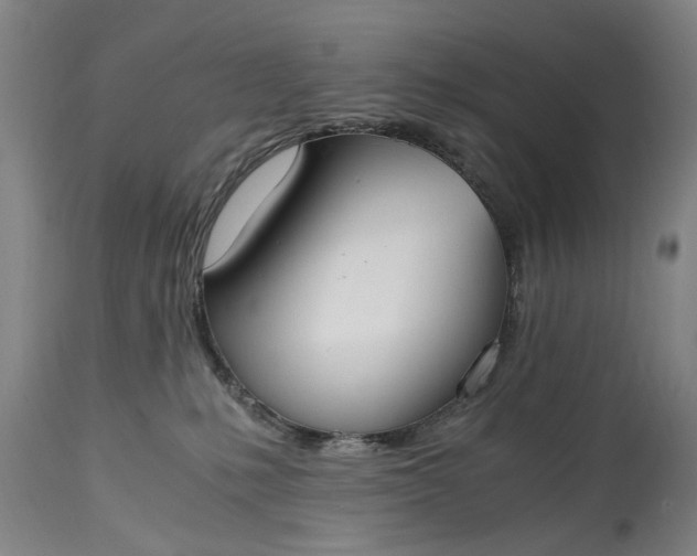 X0000115000231200911091405