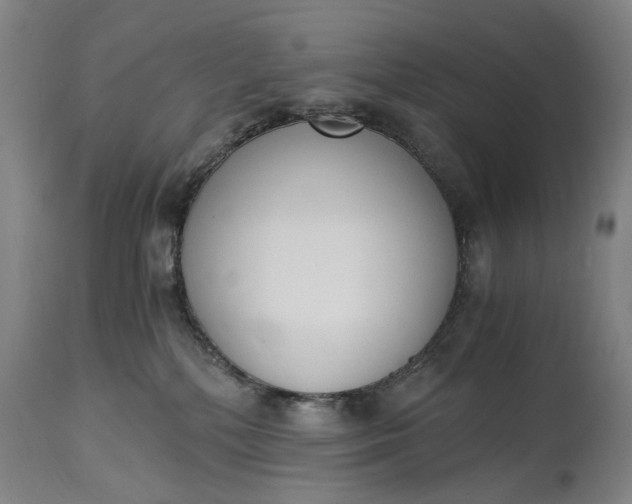 X0000115000232200911091405
