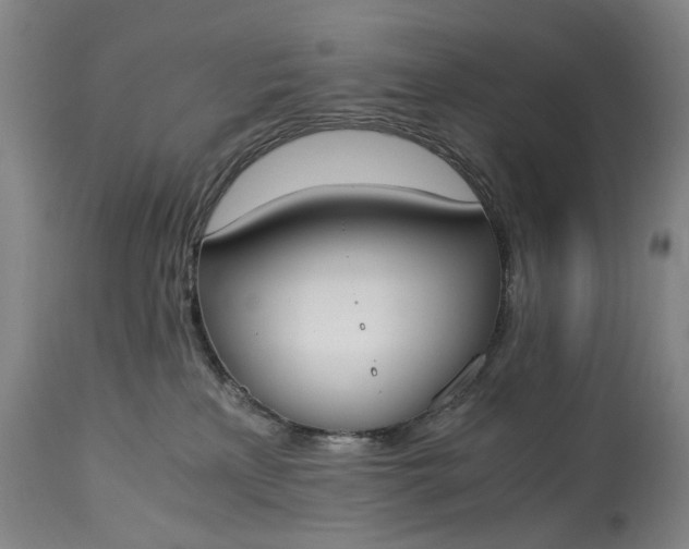 X0000115000233200911091405
