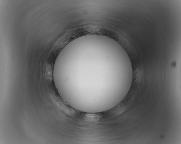 X0000115000234200911091405