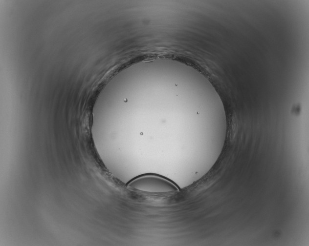 X0000115000236200911091405