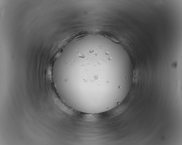 X0000115000238200911091405