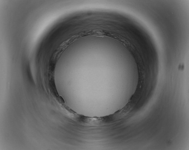 X0000115000239200911091405