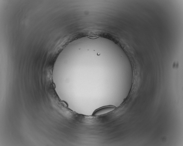 X0000115000240200911091405