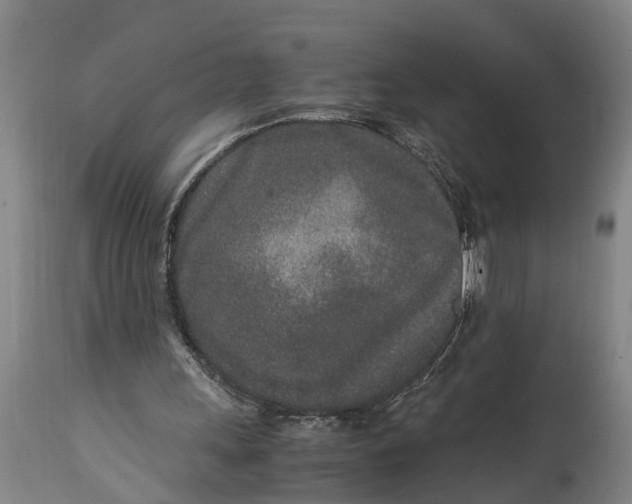 X0000115000243200911091404