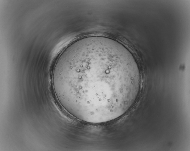 X0000115000245200911091404