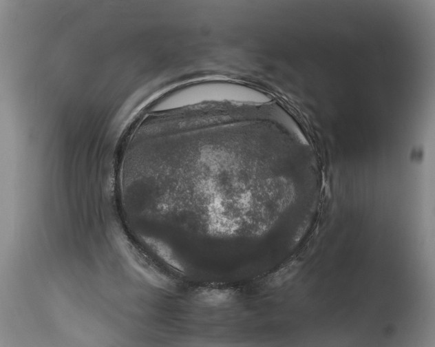 X0000115000247200911091404