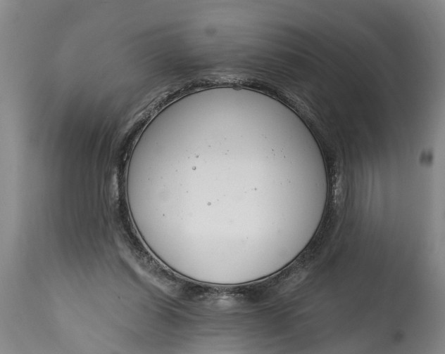 X0000115000254200911091404