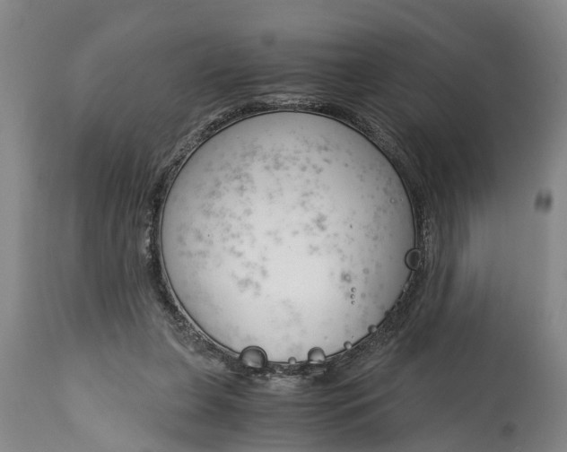 X0000115000255200911091404